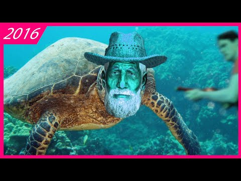 Streamer is a psycho - Fallout: New Vegas (Jerma 2016 Highlights)