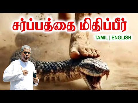 TPM MESSAGES | சர்ப்பத்தை மிதிப்பீர் | Pas.durai #tpmchennai #tpm #tpmmessages #gospel #new #jesus