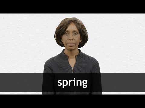 SPRING definition in American English