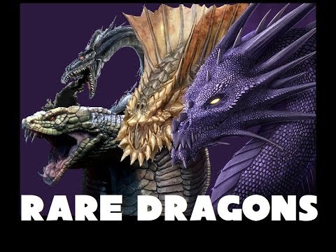 Dungeons and Dragons Lore: Drow, Sand, Purple and Cobra Dragons