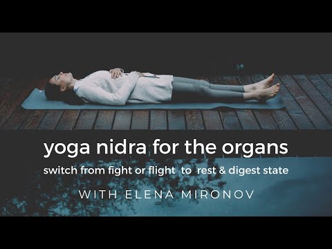 Yoga Nidra meditation for gut health with Elena Mironov