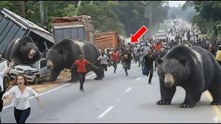 60 ATAQUES DE ANIMAIS BRUTAIS FILMADOS POR CAMERAS!