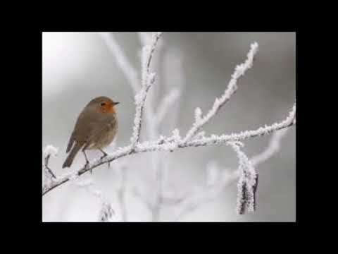 ANTONI DE MELO / OTKRIJTE ŽIVOT IZNOVA / - probudite se za stvarnost- /  OTKRIĆE