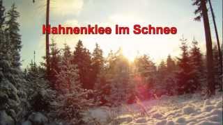 preview picture of video 'Hahnenklee im Schnee'