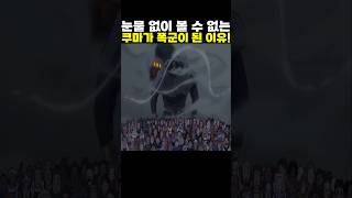 👉눈물 없이 볼 수 없는 쿠마가 폭군이 된 이유! #onepiece #원피스