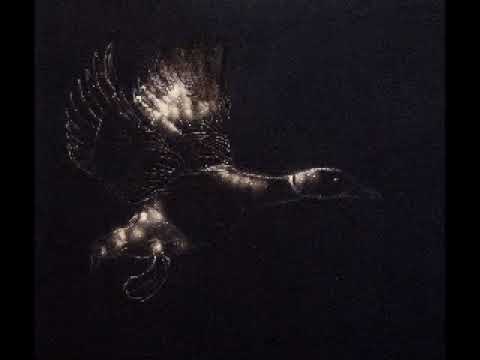 The Quartet Of Woah! - The Quartet Of Woah! (ALBUM STREAM)