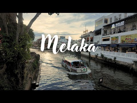 3 Days in Melaka - Estadia Hotel, Peranakan Place, The Shore Oceanarium, The Baboon House