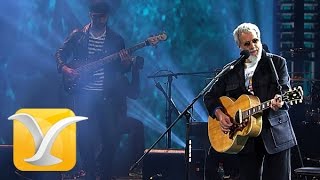 Yusuf Cat Stevens, Wild World, Festival de Viña 2015 HD 1080p