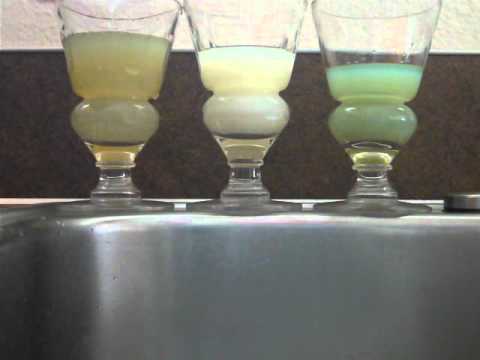 download lagu mp3 mp4 Blues Cat Absinthe, download lagu Blues Cat Absinthe gratis, unduh video klip Blues Cat Absinthe