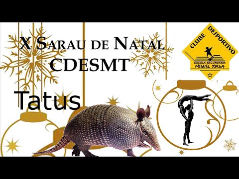 X Sarau de Natal CDESMT 2015 - Tatus "Pinguins Em Ação!"