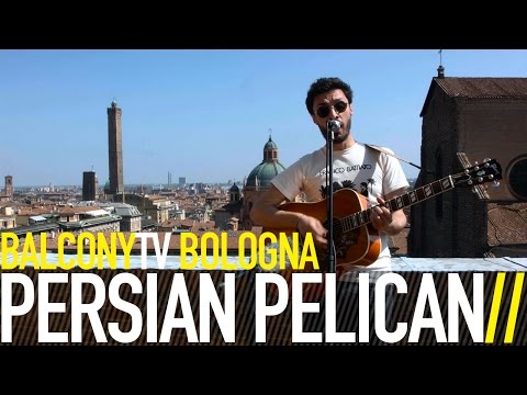 PERSIAN PELICAN - ALL BRAIN (BalconyTV)
