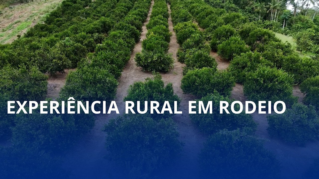 Propriedade de Rodeio atrai visitantes