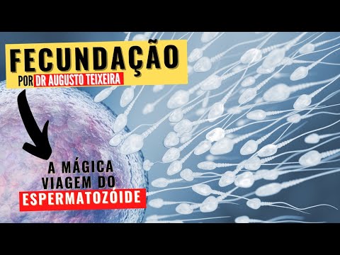 FERTILIZATION OR FERTILIZATION: Understand how the SPERM meets the EGG!