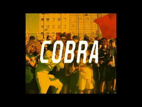 [FREE] SILVA X HOODBLAQ X MUSSO Type Beat "COBRA" (prod by egge) SILVA GLOBAL TYPE Beat 2023
