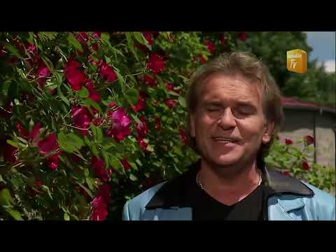 Peter Sebastian - Vergiss mein Herz nicht, wenn du gehst - (HQ) - (Wenn die Musi spielt, 2002)