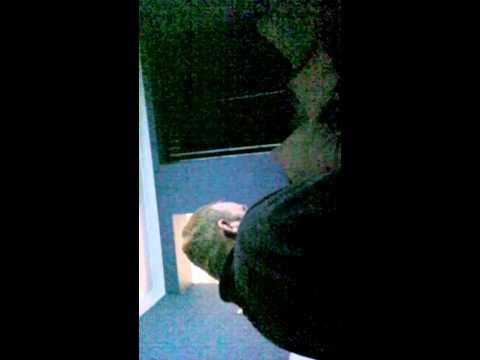 60 nuggets mick hill completion