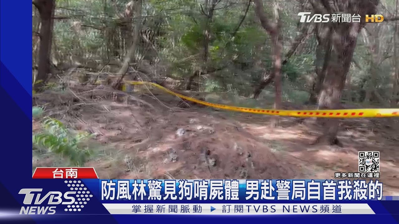 人是我殺的!蚵農防風林驚見狗啃屍體 男赴警局自首