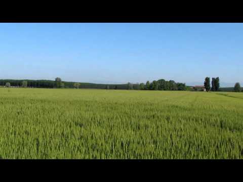 ANGIARI : RONCHI PAESAGGIO COME UN  TEMPO ,VOLATO