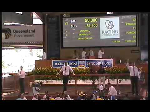 2012 Gold Coast Yearling Sale Lots 61 - 80