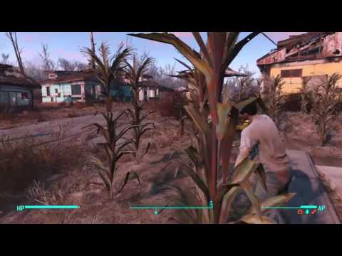 Whipping: I Will Survive Pt.159