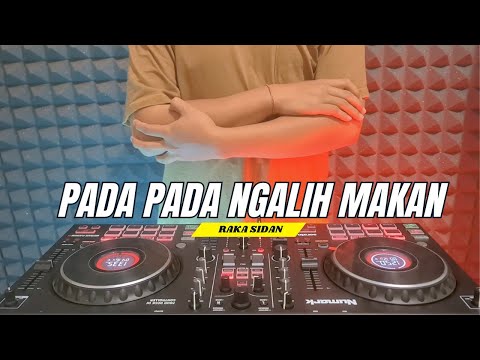 DJ PADA PADA NGALIH MAKAN - RAKA SIDAN Remix Bass Horeg Terbaru 2025 || Rean Fvnky