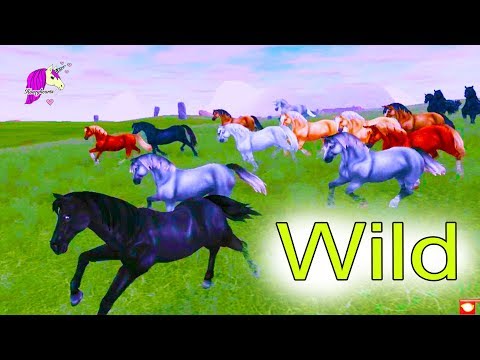 Hide & Seek + Wild Horses !  Star Stable Online Horse Let's Play Game