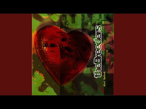 Drivin On 9 - The Breeders