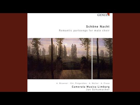 Video thumbnail for Zur guten Nacht, D. 903