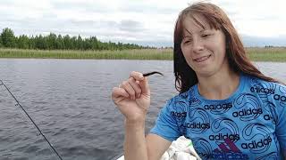 Ссылка