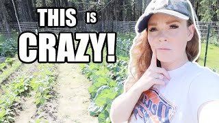 THIS IS CRAZY! |  Somers In Alaska