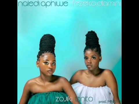 Naledi Aphiwe & Fezeka Dlamini - Zojiki Izinto ( Official audio)