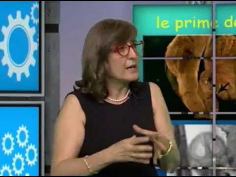 Trattamento delle articolazioni in affitto di Mosca Se è possibile fare ginnastica con il mal di schiena