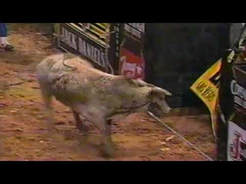 Strawberry Wine bucks Lynn Uptmor - 97 PBR Birmingham