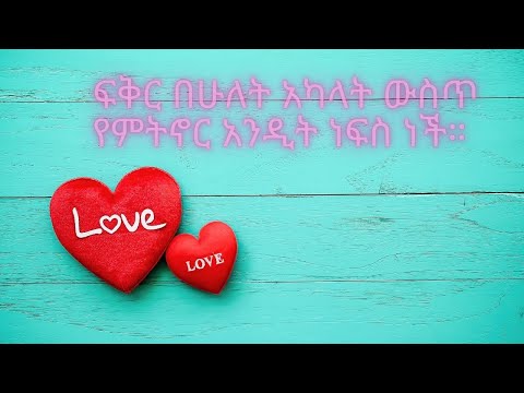Best Love Quotes/እውነተኛ የፍቅር ግንኙነት መኖሩን የሚያረጋግጡ ምርጥ የፍቅር ጥቅሶች#lovequotes #seifuonebs  #love
