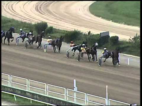 Trotto 21/09/2014 - 5° corsa