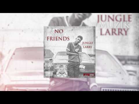 Jungle Muzik Larry- No New Friends