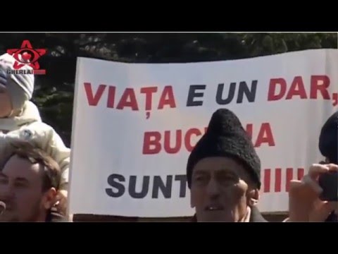 Mars pentru viata Gherla 2016 Cluj