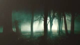 Steve Aoki Ft. Autoerotique - ILYSM (Original Mix)