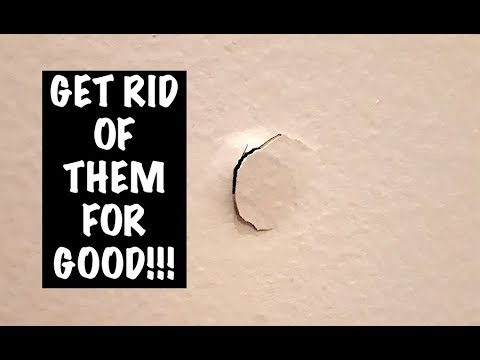 Easy Home Renovation: Learn to Fix Screw Pops in Drywall