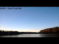 Can't Let Go by DJVI