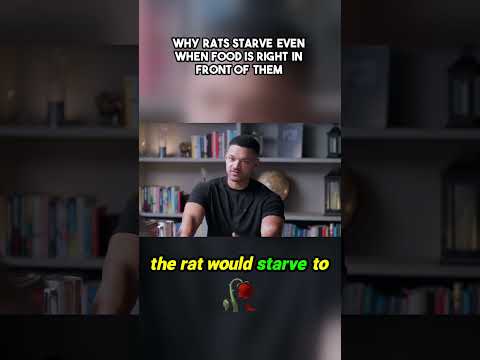 Why Rats Starve Even When Food Is Right in Front of Them