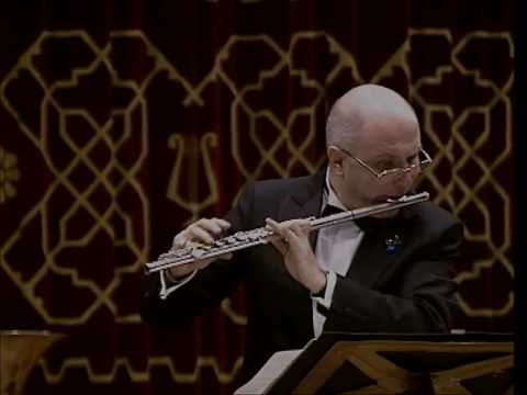 @ionbogdanstefanescu  Mozart - Alla turca