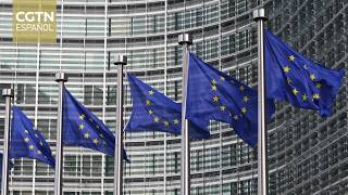 España y la UE presionan por la democratización en Venezuela