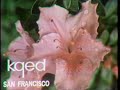KQED Station ID 1972
