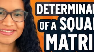 Determinants of a 2x2 and 3x3 Matrixes. Applications to the area of a triangle with given vertices.