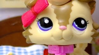 ⚡ LPS Reflections - Episode 1 (Imperfect Life) ⚡