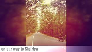 preview picture of video 'travel Sri lanka - Sigiriya'