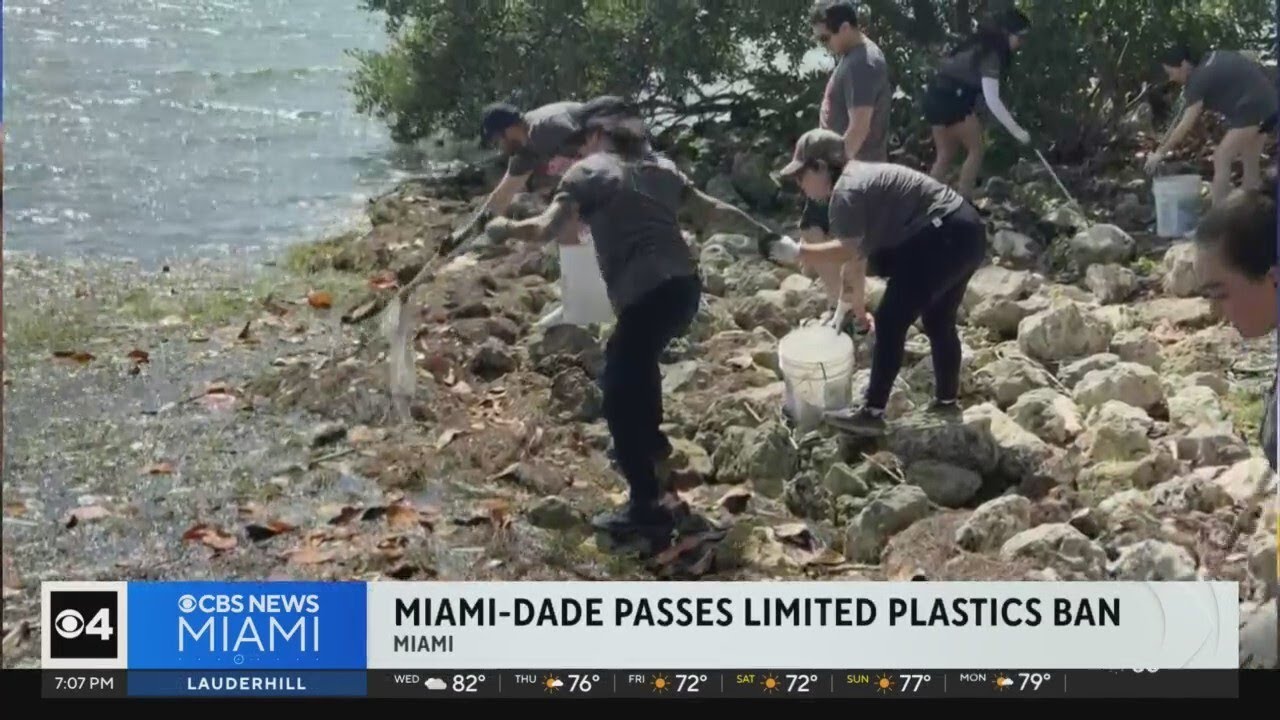 Miami-Dade County expands ban on single-use plastics following Zoo Miami's lead