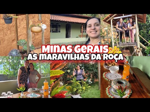 Na roça a vida é mais feliz ! 😁 As maravilhas de Minas Gerais! #roça #vidanaroça #minasgerais #vlog