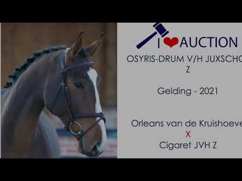 Osyris-Drum V/H Junxschot Z free jumping